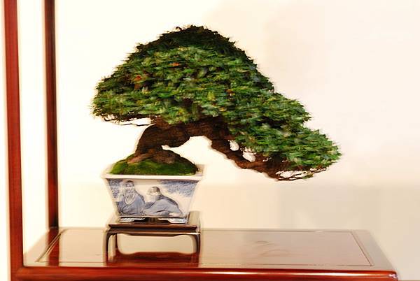 DSC_7497.jpg DSC_7497.jpg