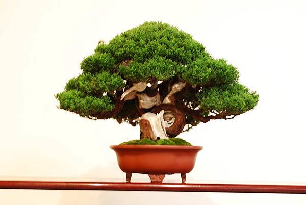 DSC_7496.jpg DSC_7496.jpg