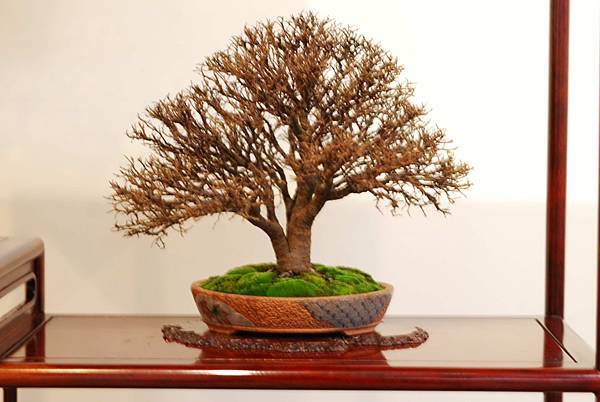 DSC_7498.jpg DSC_7498.jpg