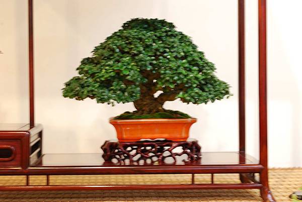 DSC_7501.jpg DSC_7501.jpg