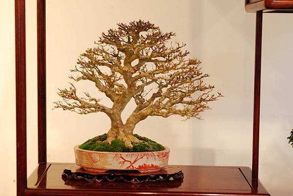 DSC_7499.jpg DSC_7499.jpg