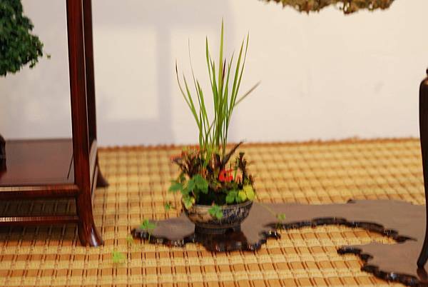 DSC_7503.jpg DSC_7503.jpg