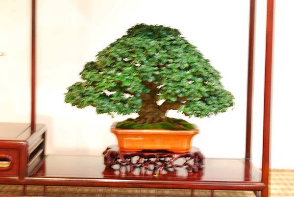 DSC_7508.jpg DSC_7508.jpg