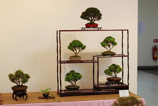 DSC_7509.jpg DSC_7509.jpg