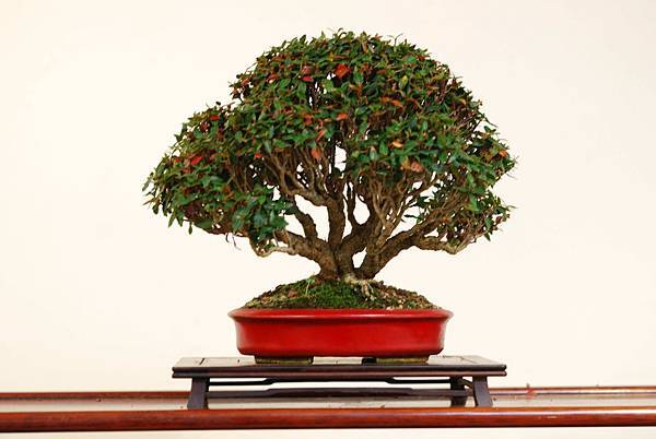 DSC_7511.jpg DSC_7511.jpg