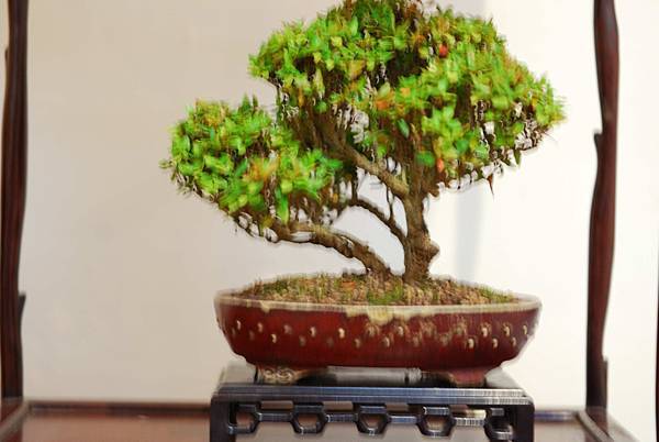 DSC_7519.jpg DSC_7519.jpg