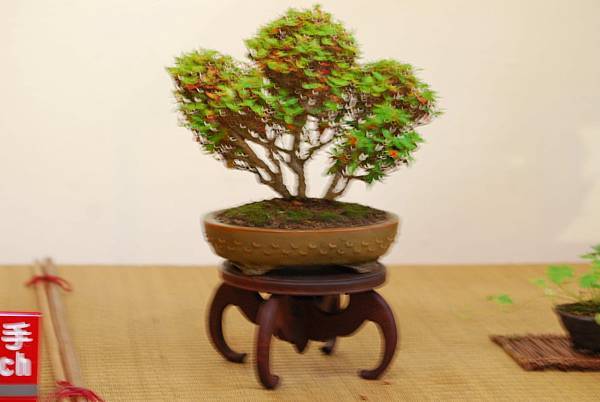 DSC_7521.jpg DSC_7521.jpg