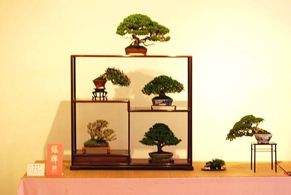 DSC_7524.jpg DSC_7524.jpg