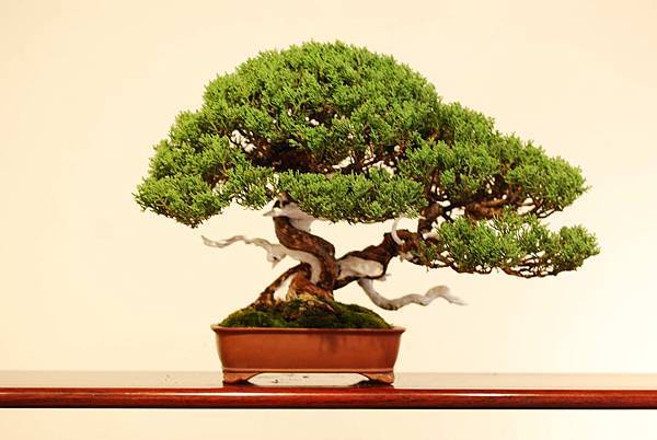 DSC_7525.jpg DSC_7525.jpg