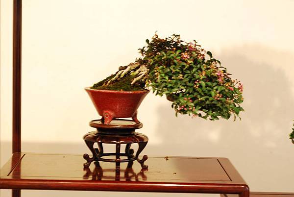 DSC_7526.jpg DSC_7526.jpg