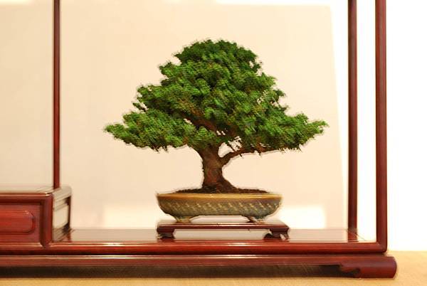 DSC_7536.jpg DSC_7536.jpg