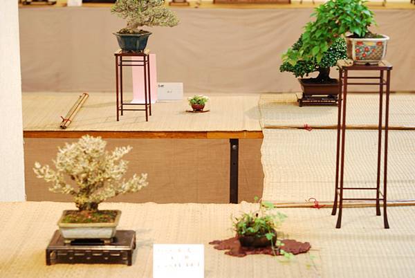 DSC_7540.jpg DSC_7540.jpg