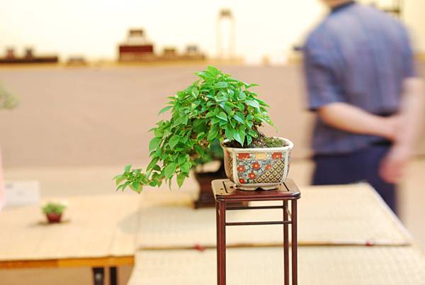 DSC_7543.jpg DSC_7543.jpg