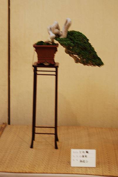 DSC_7547.jpg DSC_7547.jpg