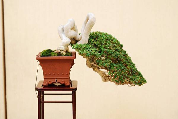 DSC_7549.jpg DSC_7549.jpg