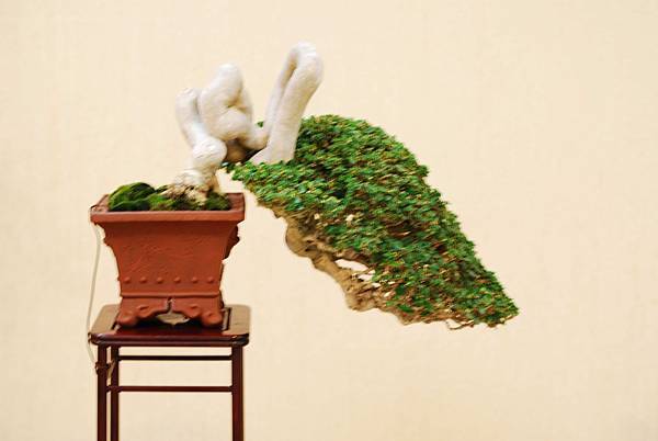 DSC_7548.jpg DSC_7548.jpg