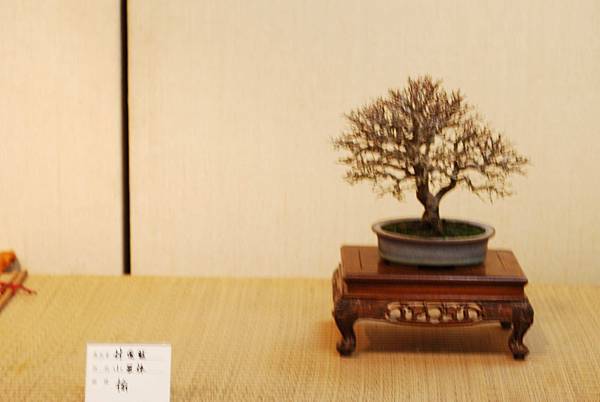 DSC_7550.jpg DSC_7550.jpg