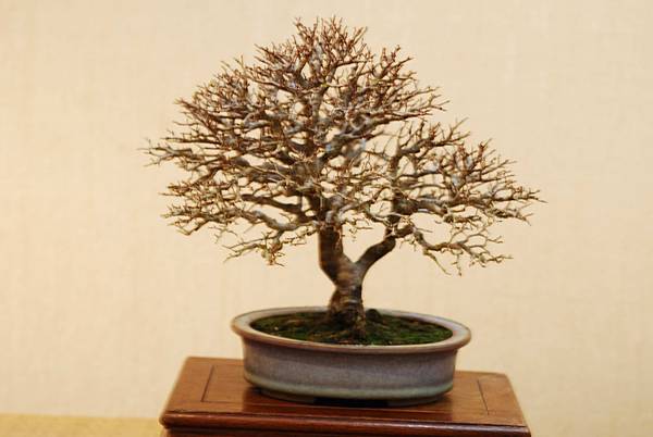 DSC_7551.jpg DSC_7551.jpg