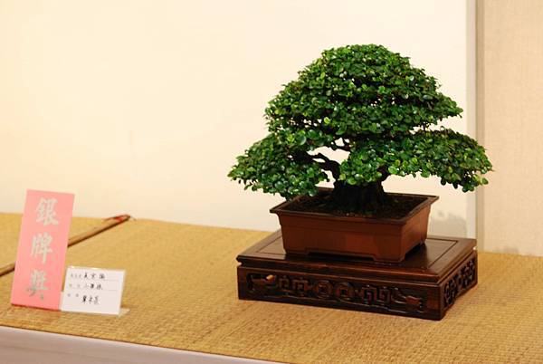 DSC_7557.jpg DSC_7557.jpg