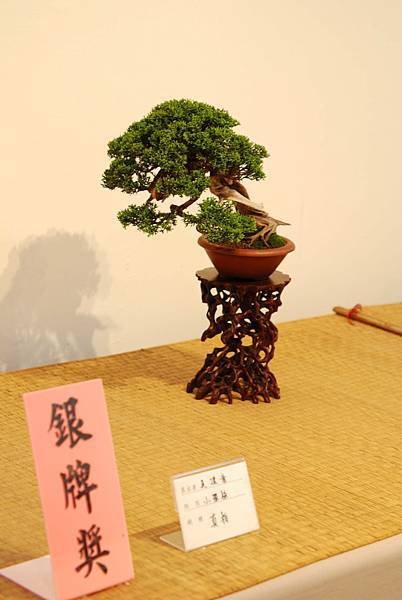 DSC_7560.jpg DSC_7560.jpg