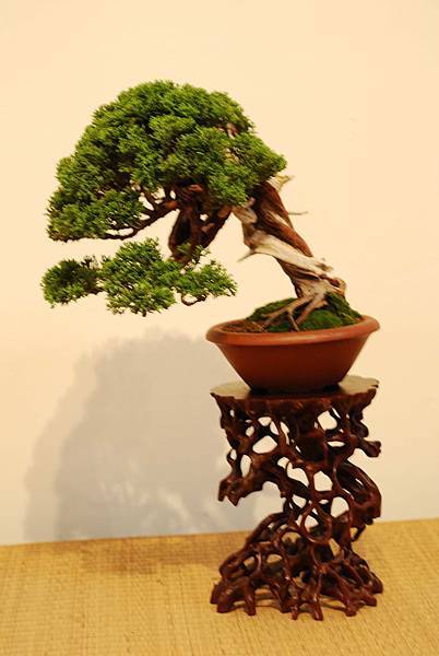 DSC_7562.jpg DSC_7562.jpg