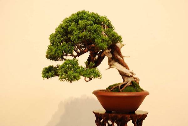 DSC_7563.jpg DSC_7563.jpg