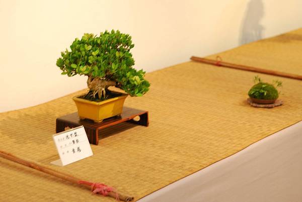 DSC_7565.jpg DSC_7565.jpg