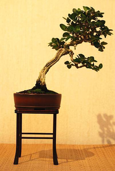 DSC_7576.jpg DSC_7576.jpg