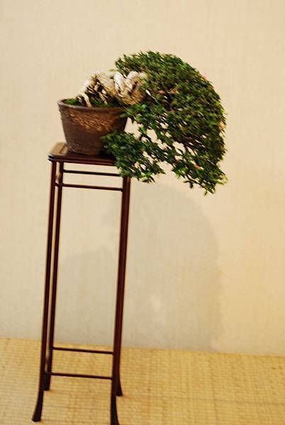 DSC_7578.jpg DSC_7578.jpg