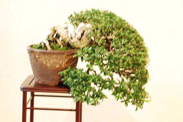 DSC_7580.jpg DSC_7580.jpg