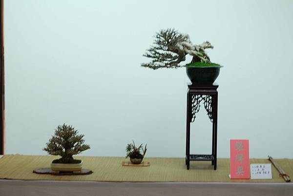 DSC_7581.jpg DSC_7581.jpg