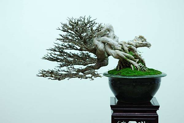 DSC_7583.jpg DSC_7583.jpg