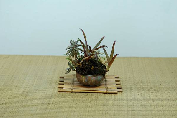 DSC_7585.jpg DSC_7585.jpg