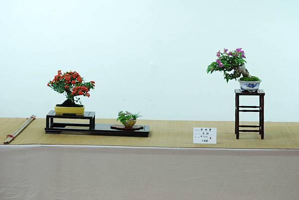 DSC_7586.jpg DSC_7586.jpg