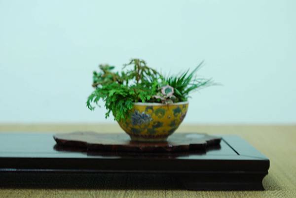 DSC_7591.jpg DSC_7591.jpg