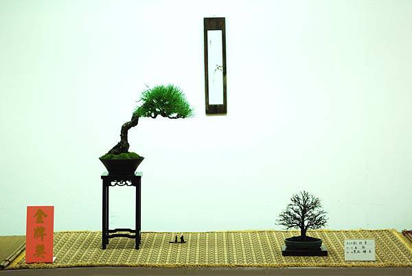 DSC_7593.jpg DSC_7593.jpg