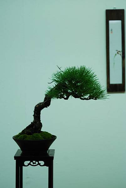 DSC_7595.jpg DSC_7595.jpg