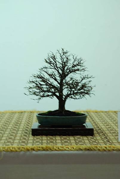 DSC_7597.jpg DSC_7597.jpg