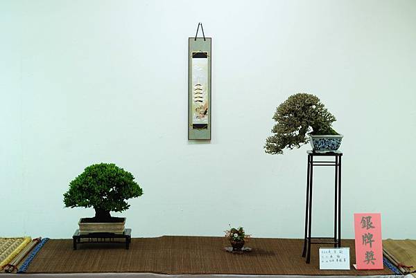 DSC_7598.jpg DSC_7598.jpg