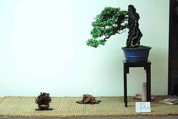 DSC_7606.jpg DSC_7606.jpg