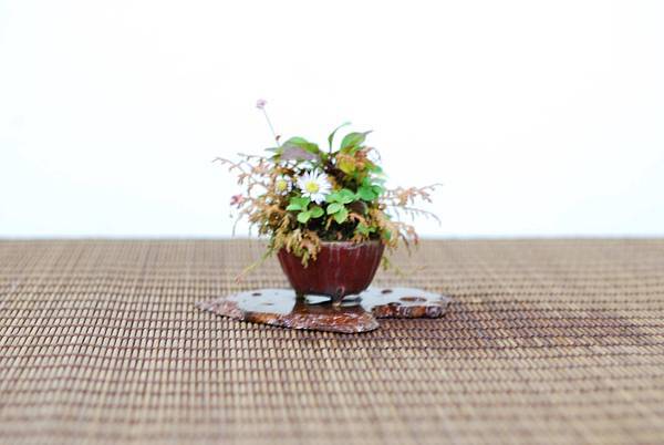 DSC_7605.jpg DSC_7605.jpg