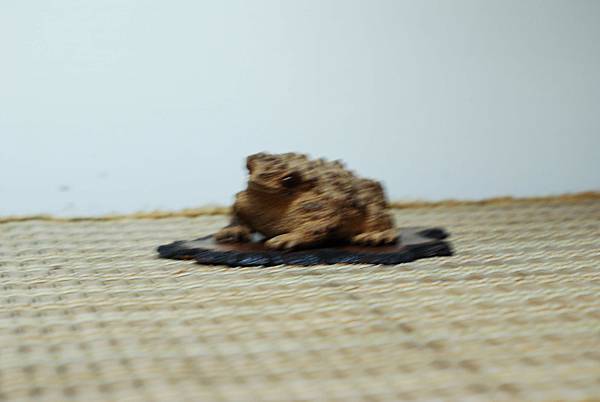 DSC_7611.jpg DSC_7611.jpg