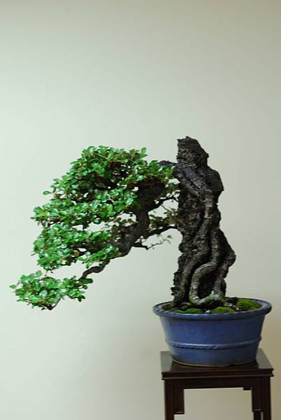 DSC_7607.jpg DSC_7607.jpg