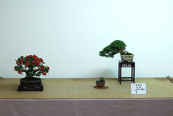 DSC_7612.jpg DSC_7612.jpg