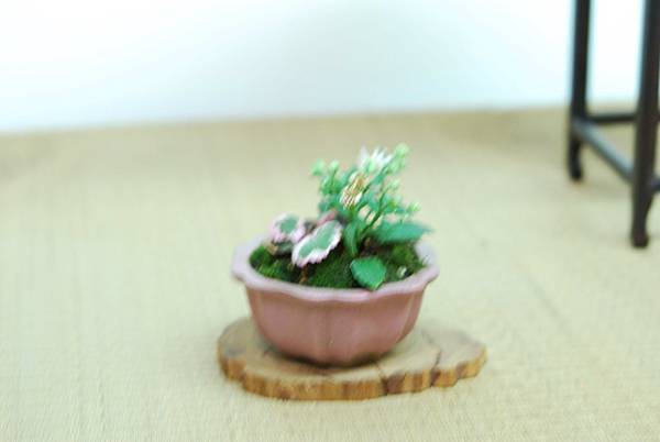 DSC_7616.jpg DSC_7616.jpg