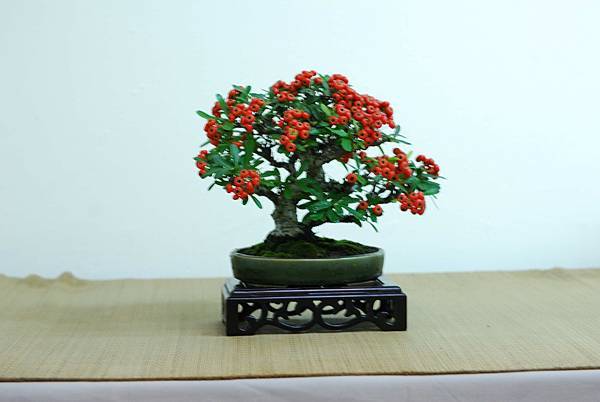 DSC_7615.jpg DSC_7615.jpg