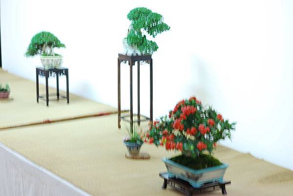 DSC_7620.jpg DSC_7620.jpg