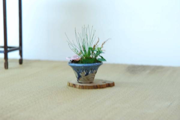 DSC_7623.jpg DSC_7623.jpg