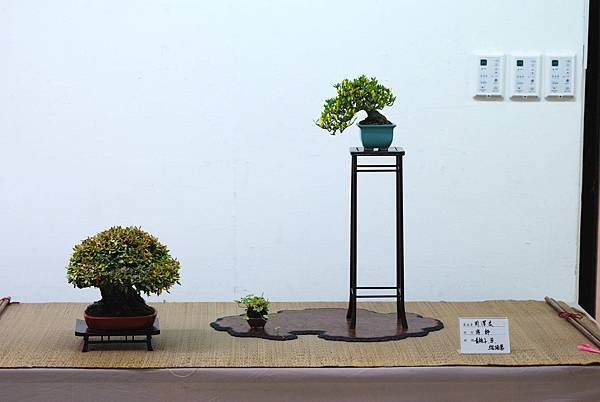 DSC_7626.jpg DSC_7626.jpg