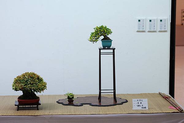 DSC_7627.jpg DSC_7627.jpg